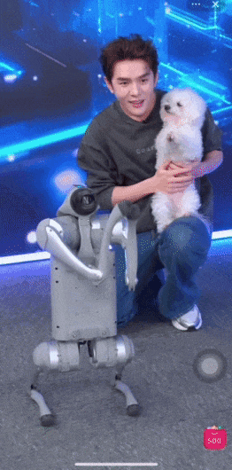 夸奖.gif